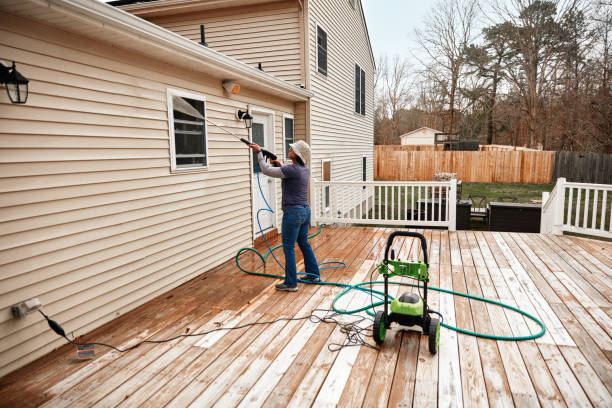 Best Affordable Pressure Washing  in Hawaiian Paradise Park, HI