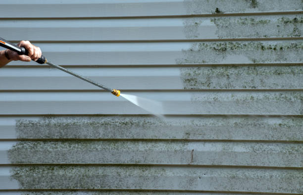 Deck Cleaning Services in Hawaiian Paradise Park, HI