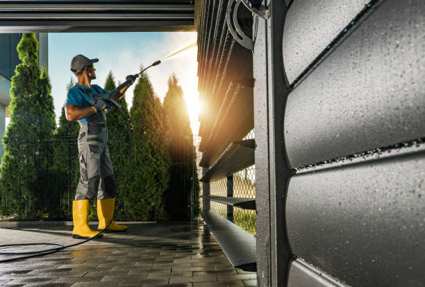 Best Sidewalk Pressure Washing  in Hawaiian Paradise Park, HI