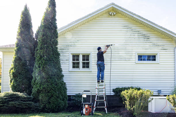 Best Garage Pressure Washing  in Hawaiian Paradise Park, HI